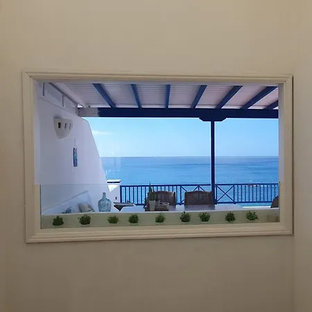 Erizo De Mar *