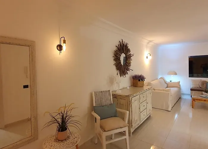 Erizo De Mar Playa Blanca (Lanzarote)